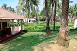 A landscaped garden with neatly trimmed grass, a variety of palm trees, and a traditional house with a tiled roof and a porch adorned with hanging plants. The setting is lush and verdant, suggesting a tropical environment.
