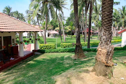 A landscaped garden with neatly trimmed grass, a variety of palm trees, and a traditional house with a tiled roof and a porch adorned with hanging plants. The setting is lush and verdant, suggesting a tropical environment.