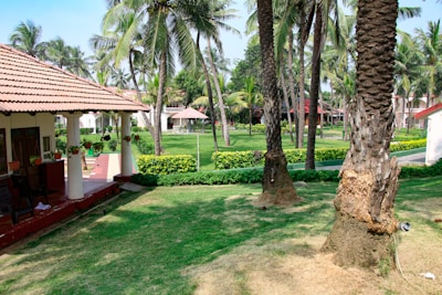 A landscaped garden with neatly trimmed grass, a variety of palm trees, and a traditional house with a tiled roof and a porch adorned with hanging plants. The setting is lush and verdant, suggesting a tropical environment.