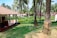 A landscaped garden with neatly trimmed grass, a variety of palm trees, and a traditional house with a tiled roof and a porch adorned with hanging plants. The setting is lush and verdant, suggesting a tropical environment.