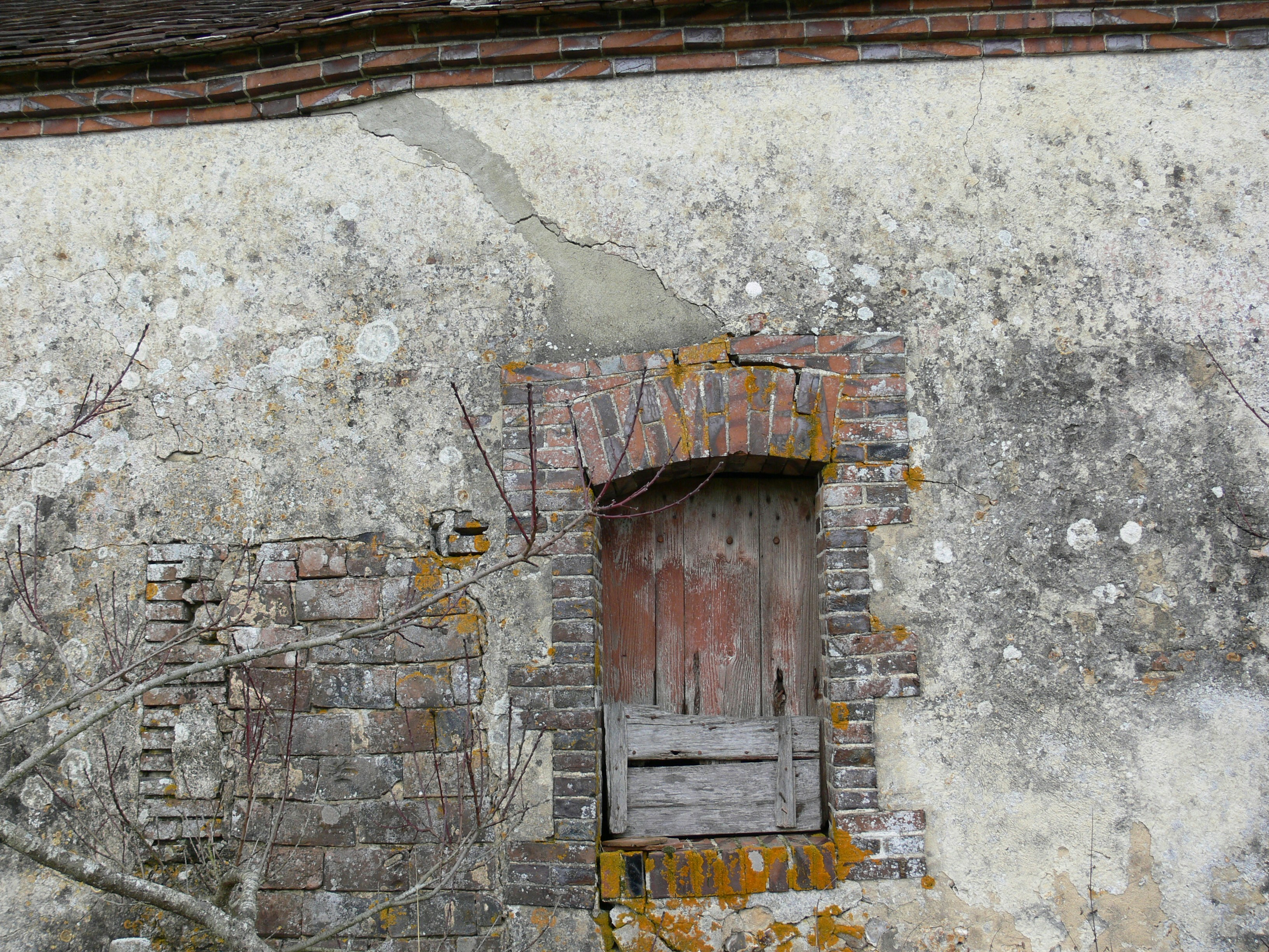 Photo by valeria_young