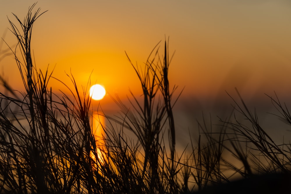 the sun is setting over a body of water