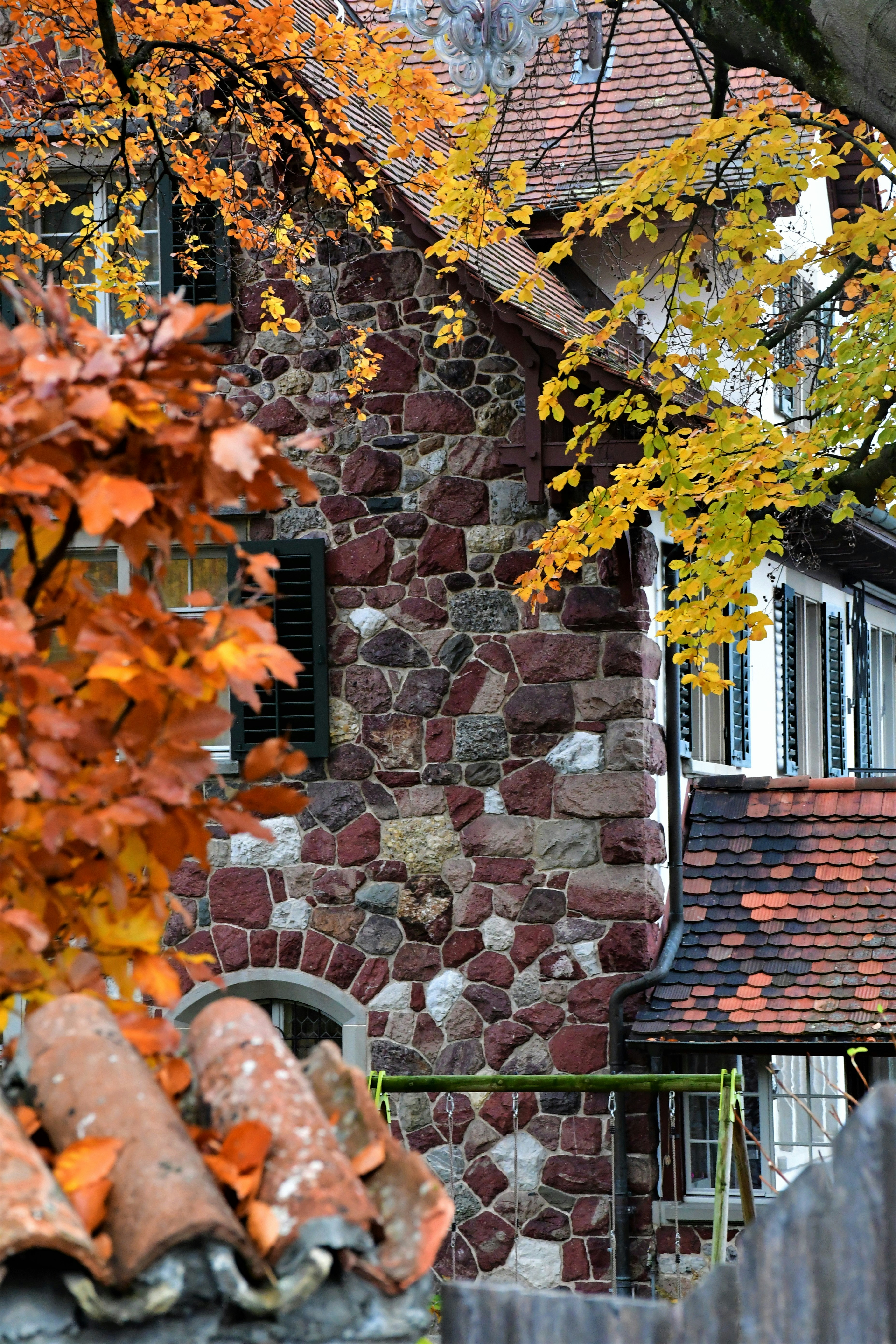 Photo by pedrino5_official