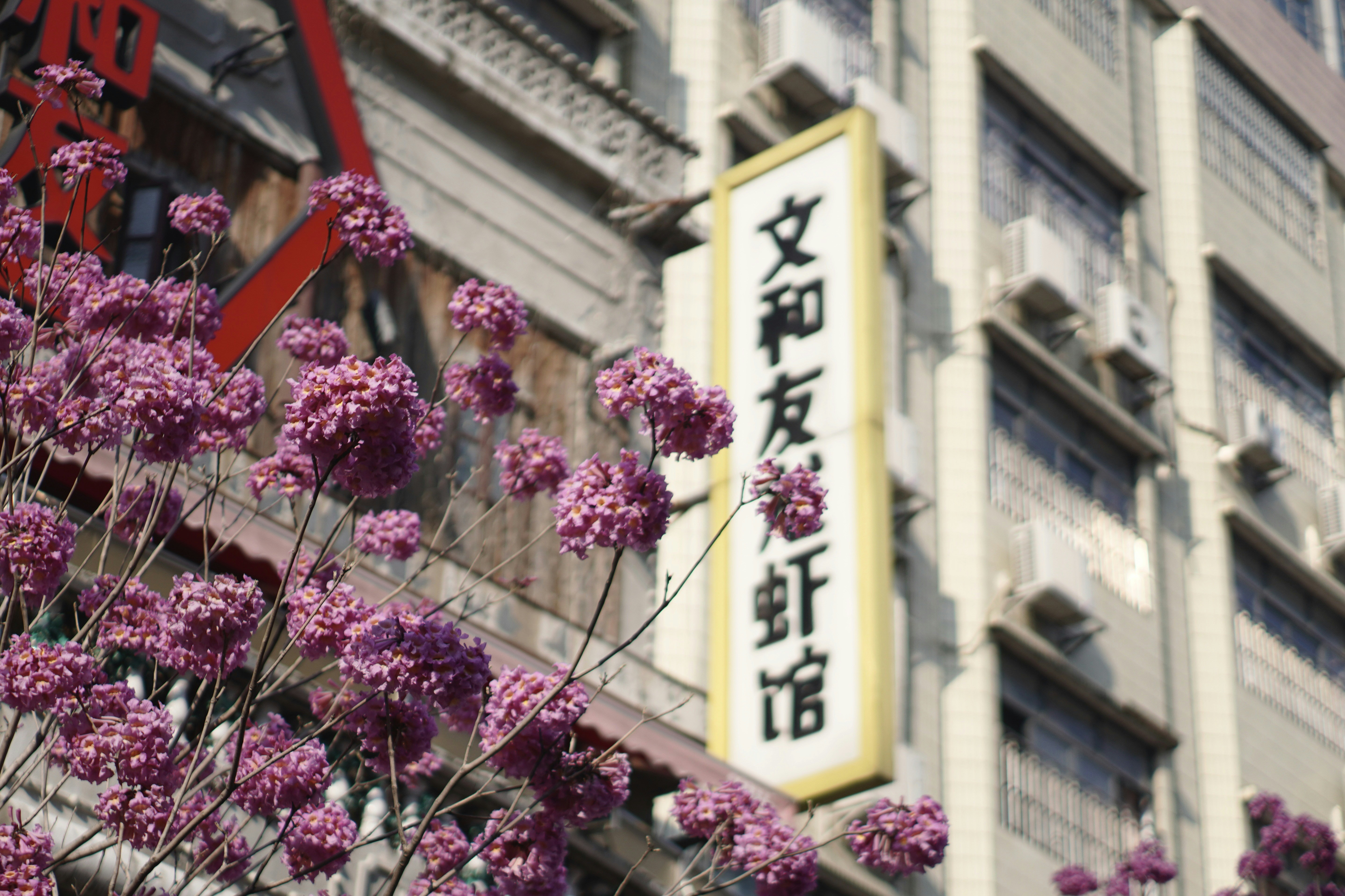 Nature produces the most astoundingly beautiful images: the swirling lava of a volcano, palm trees against a blue sky, snow-capped mountains towering above. Unsplash has magnificent , high-quality photos of all the delights that nature has to offer.