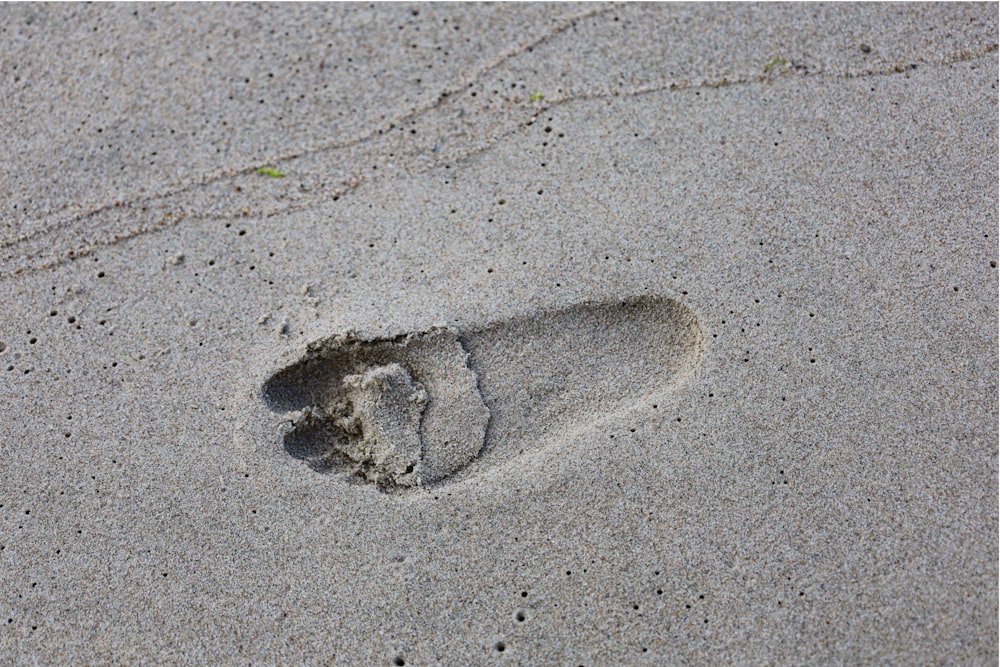 Fußabdrücke eines kleinen Tieres im Sand