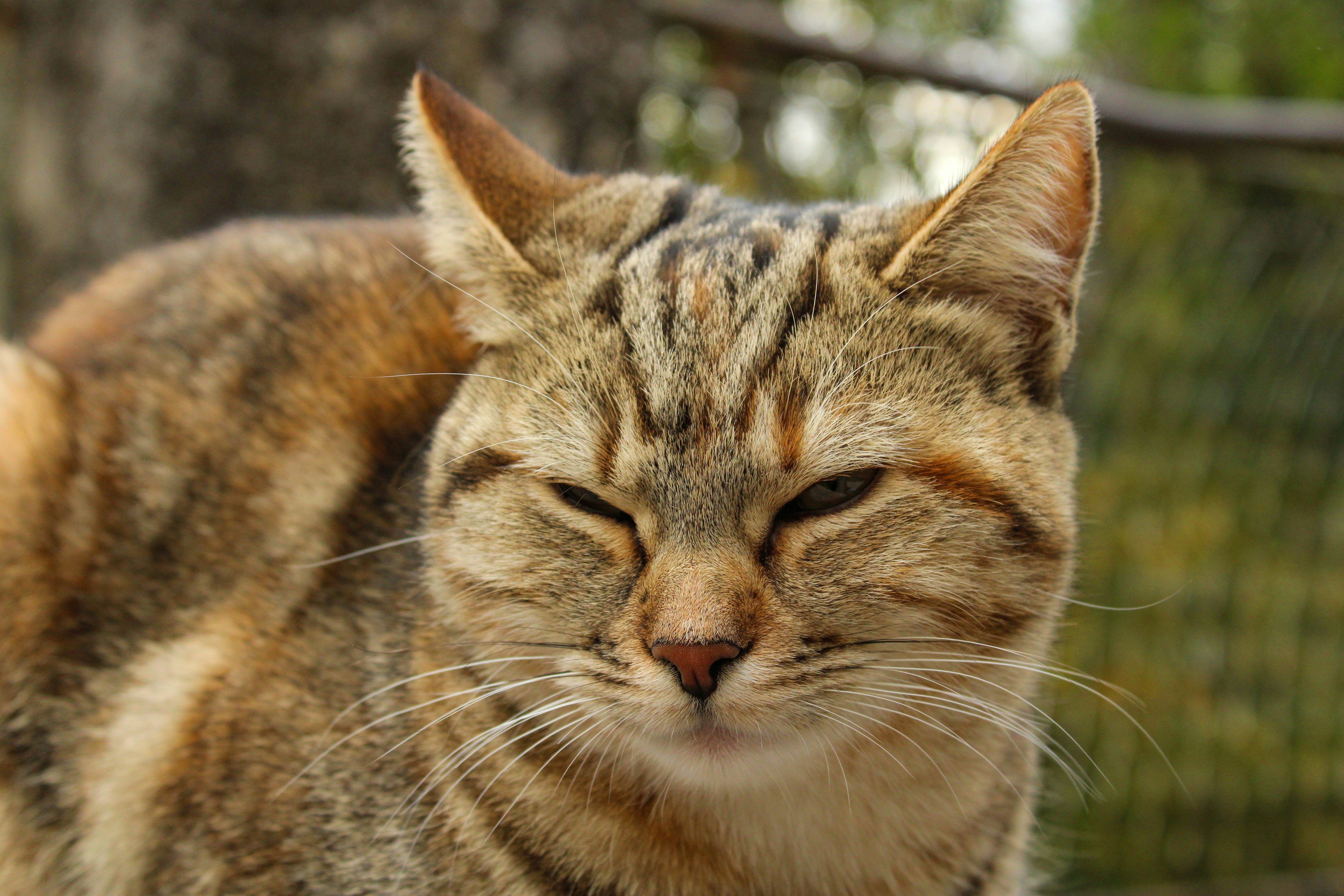 Photo by seb_oberreiter