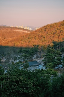 A serene landscape blending elements of a magical forest with futuristic cityscapes.