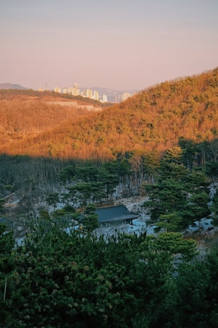 A serene landscape blending elements of a magical forest with futuristic cityscapes.