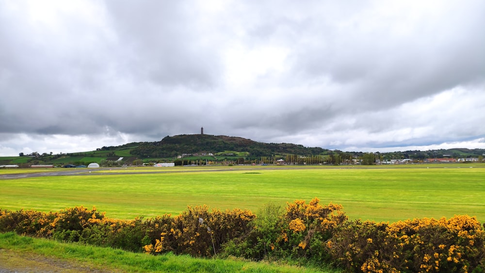 a green field with a hill in the background