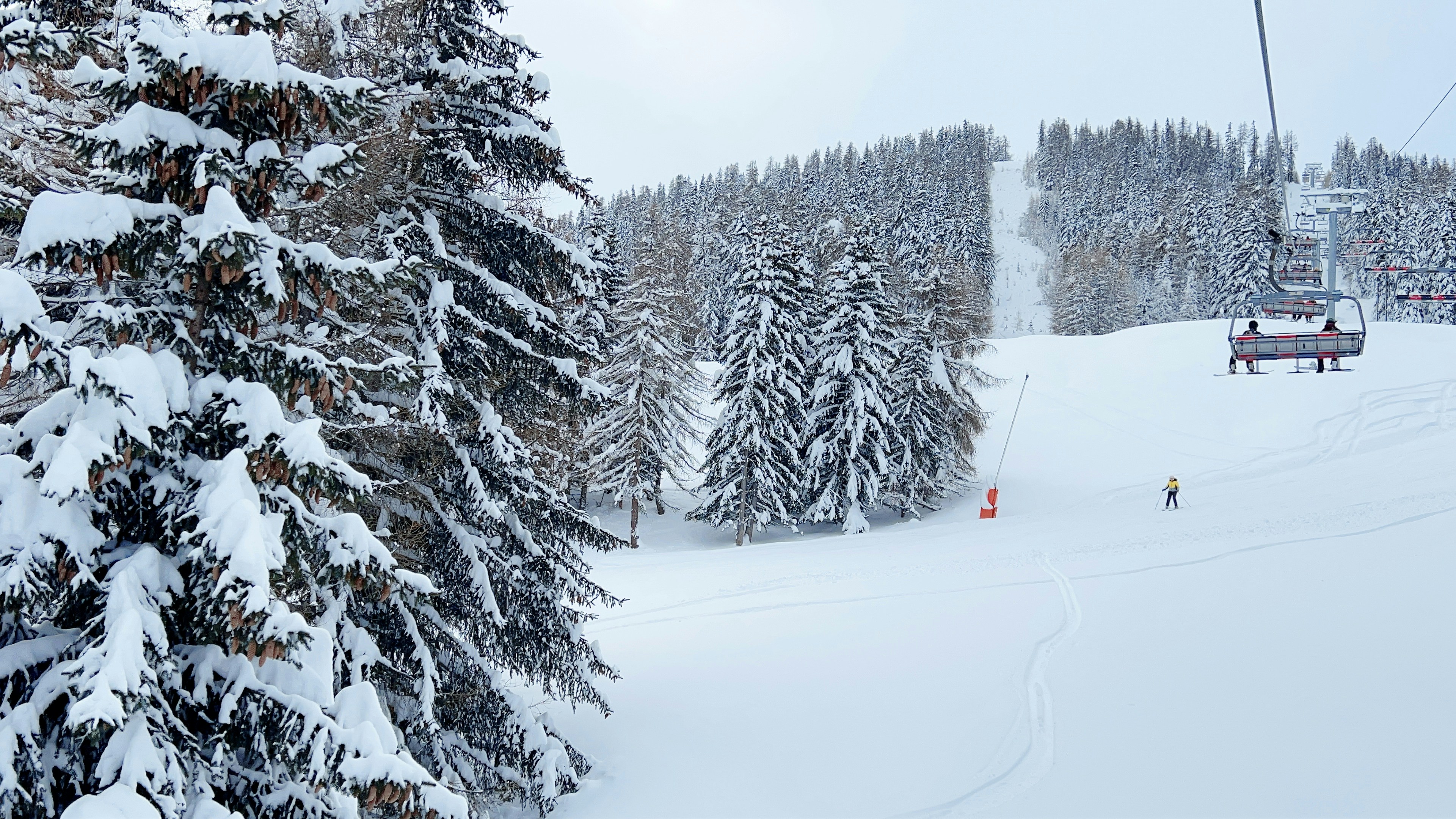 Photo by judithgirardmarczak