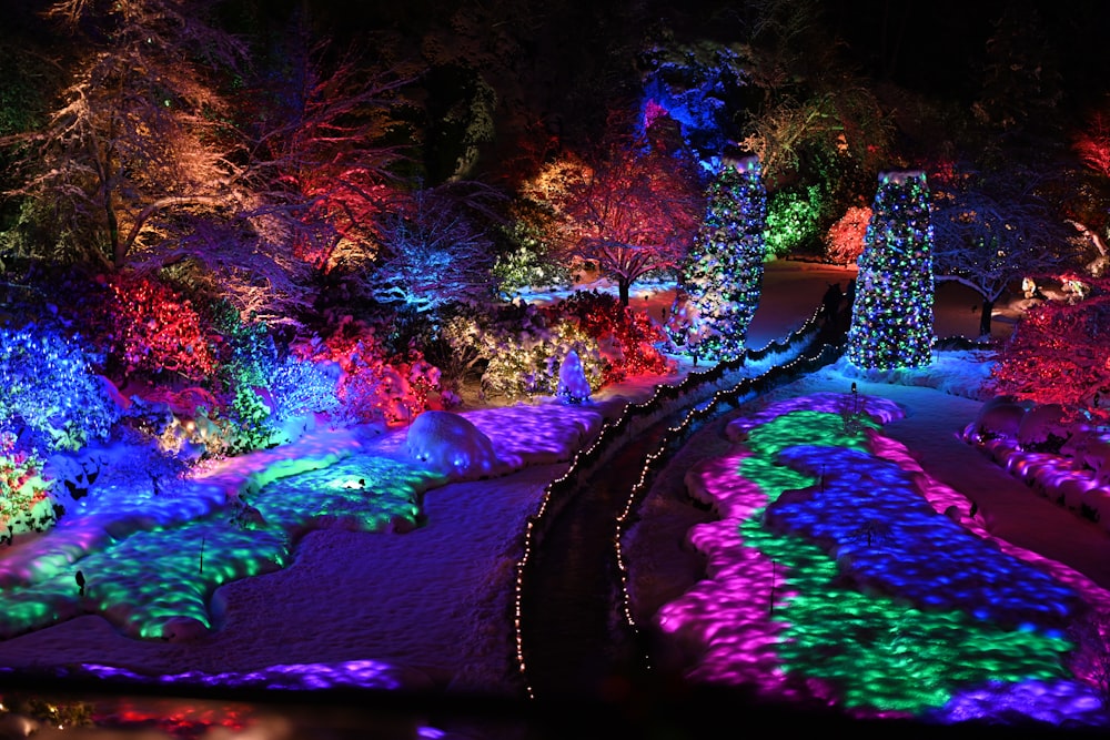 a colorful display of lights in a park at night