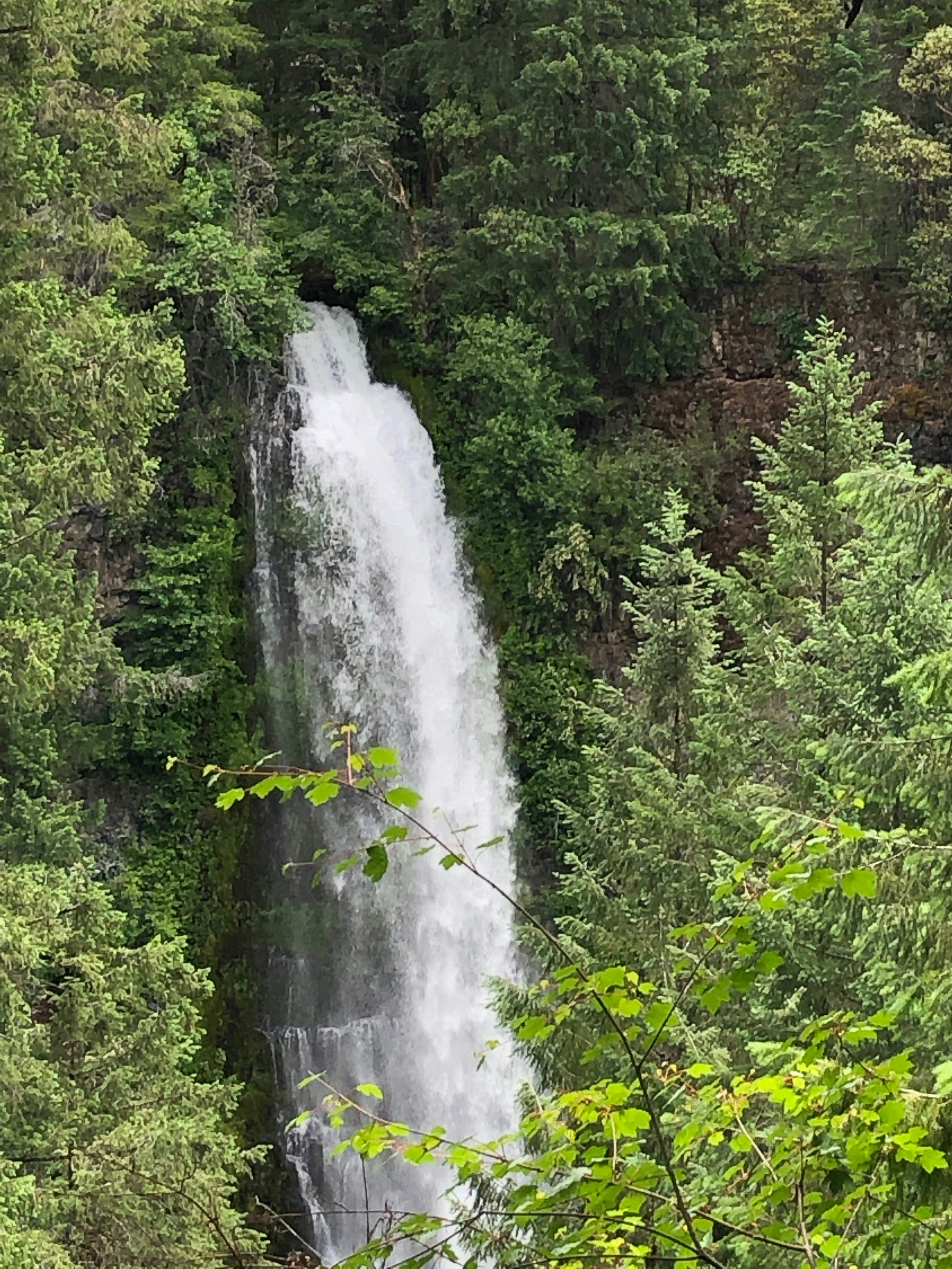 Photo by pippi_longstocking