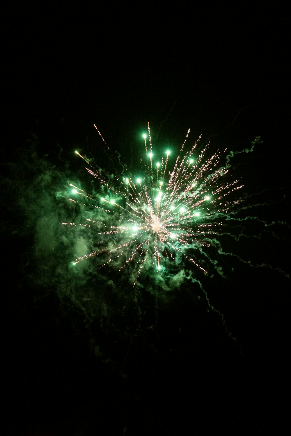 a green and white firework in the night sky