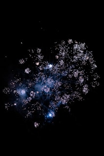 a bunch of fireworks are lit up in the night sky