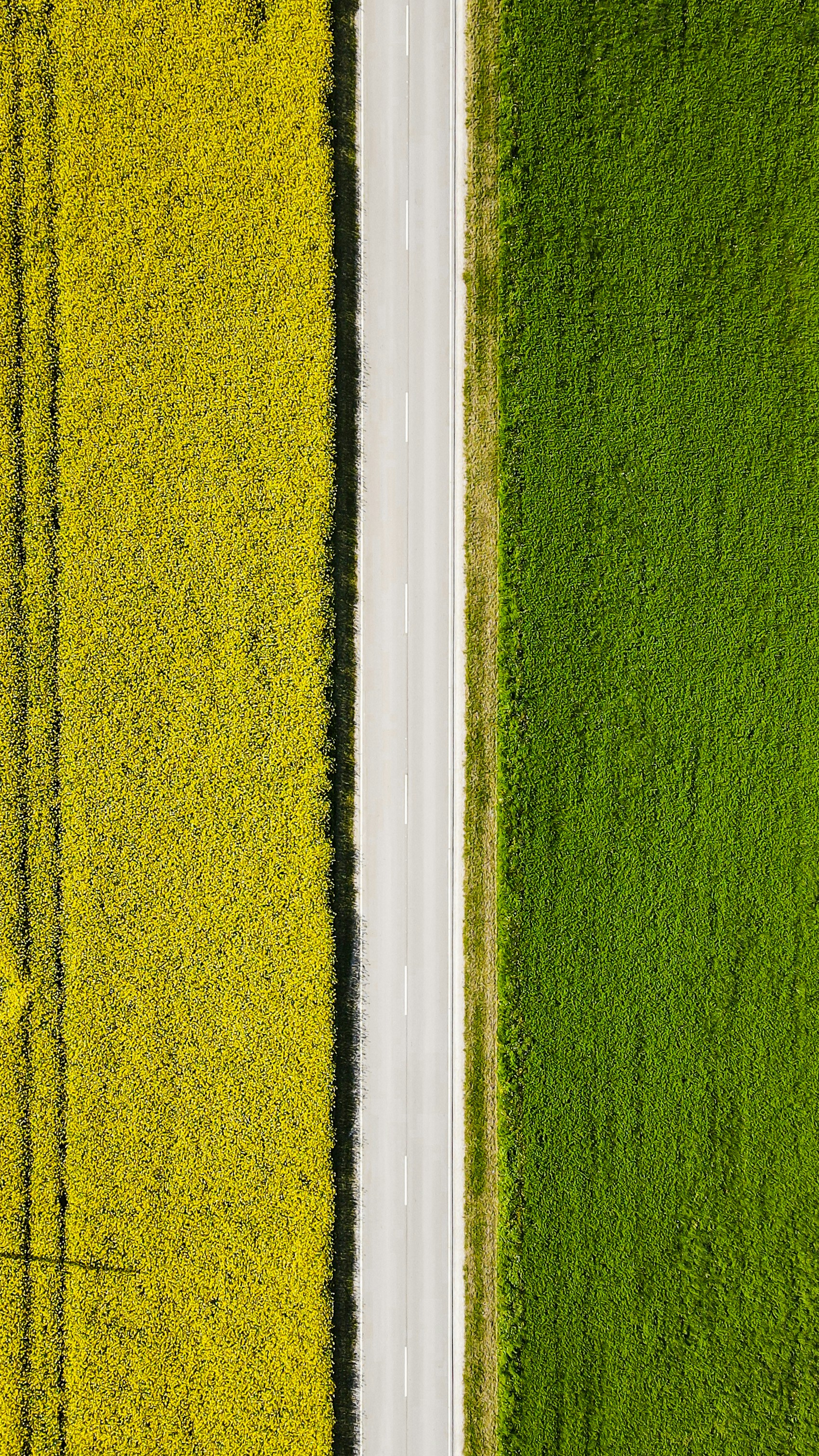 an aerial view of two roads in a field