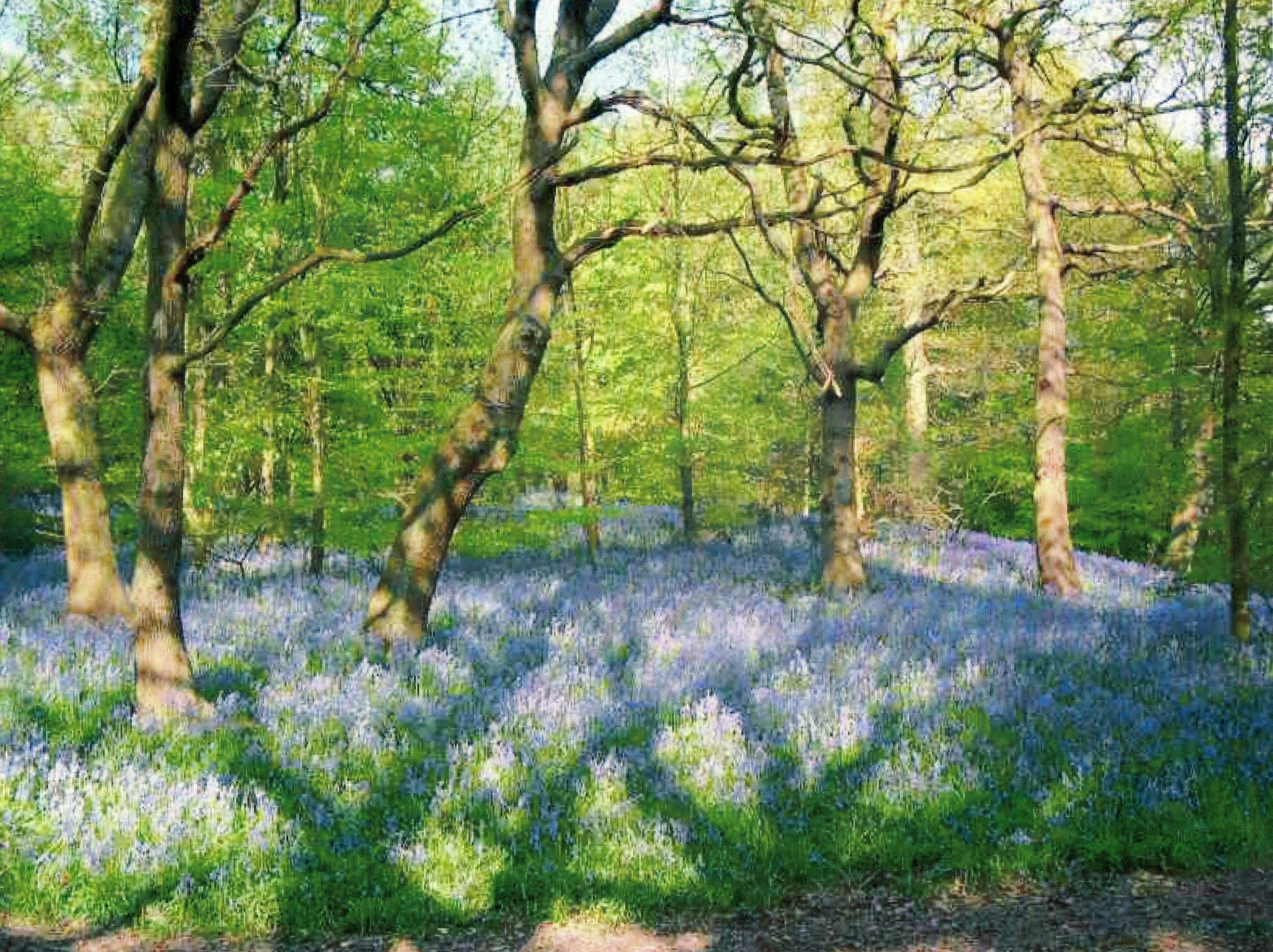 Photo by mgketteridge