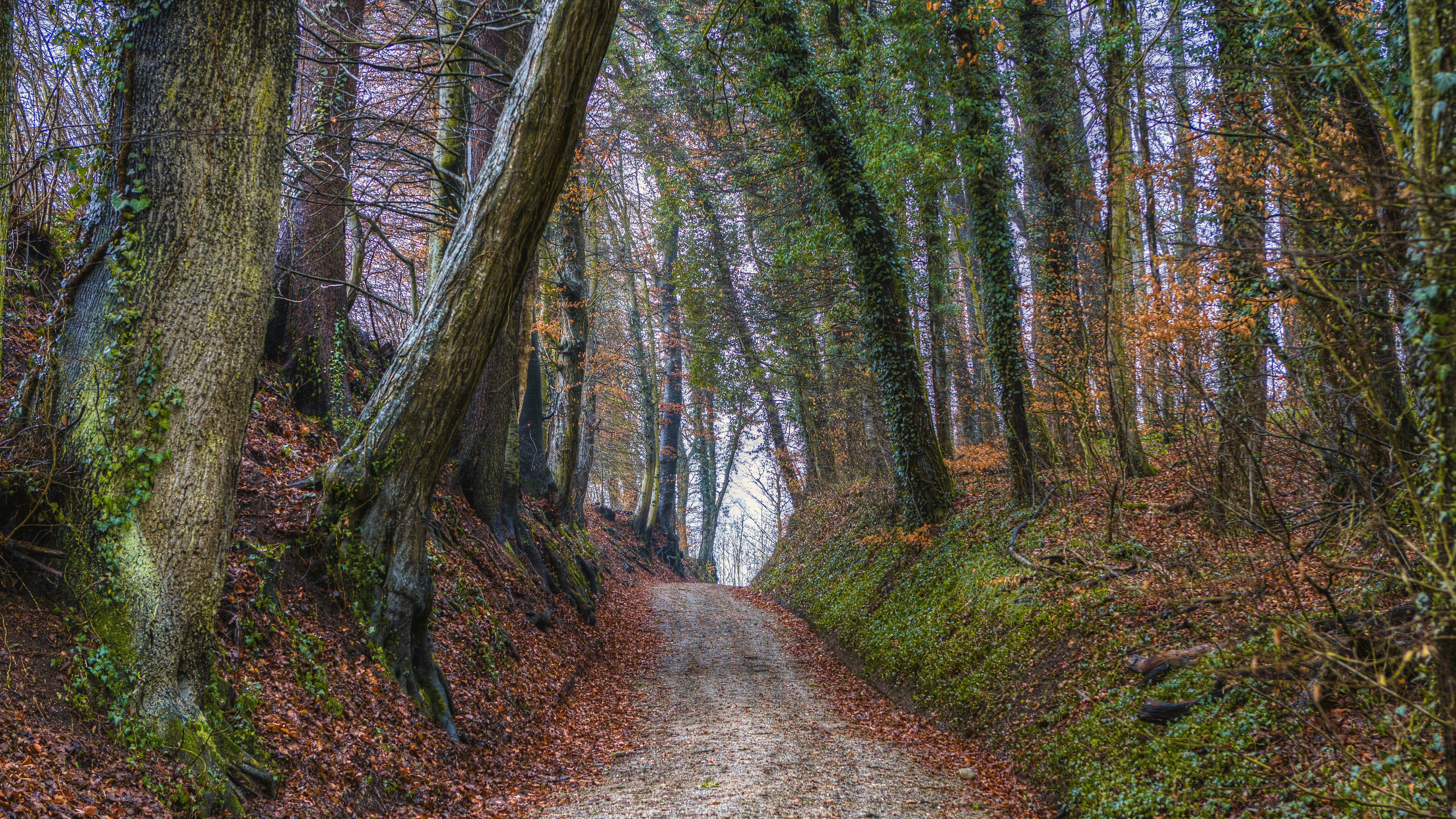 Photo by fred5244