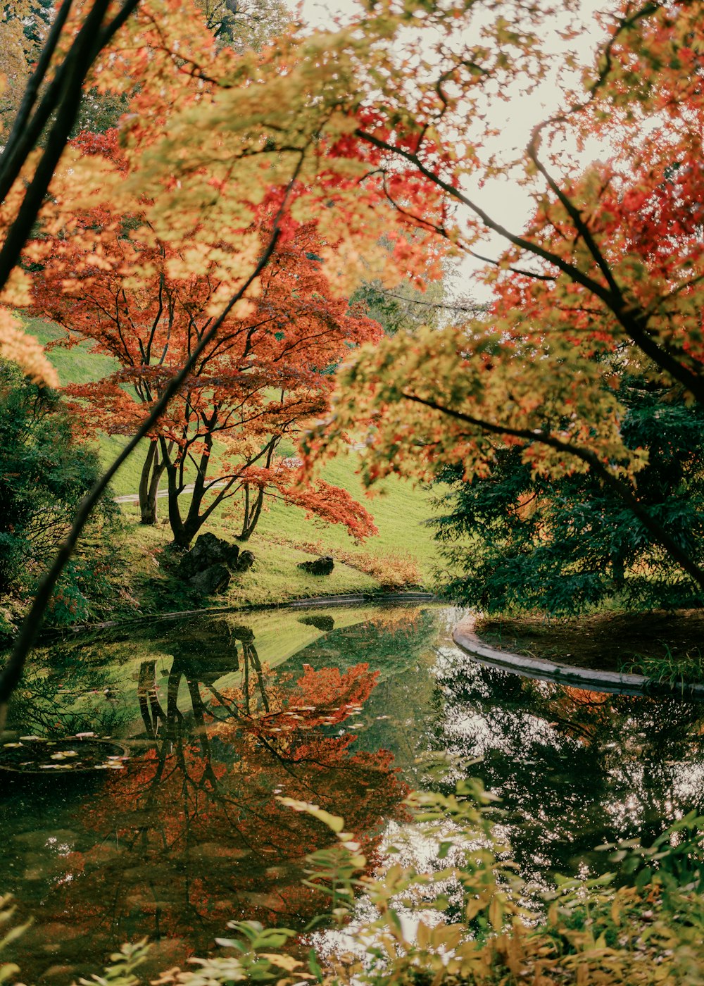 a pond surrounded by trees with red leaves