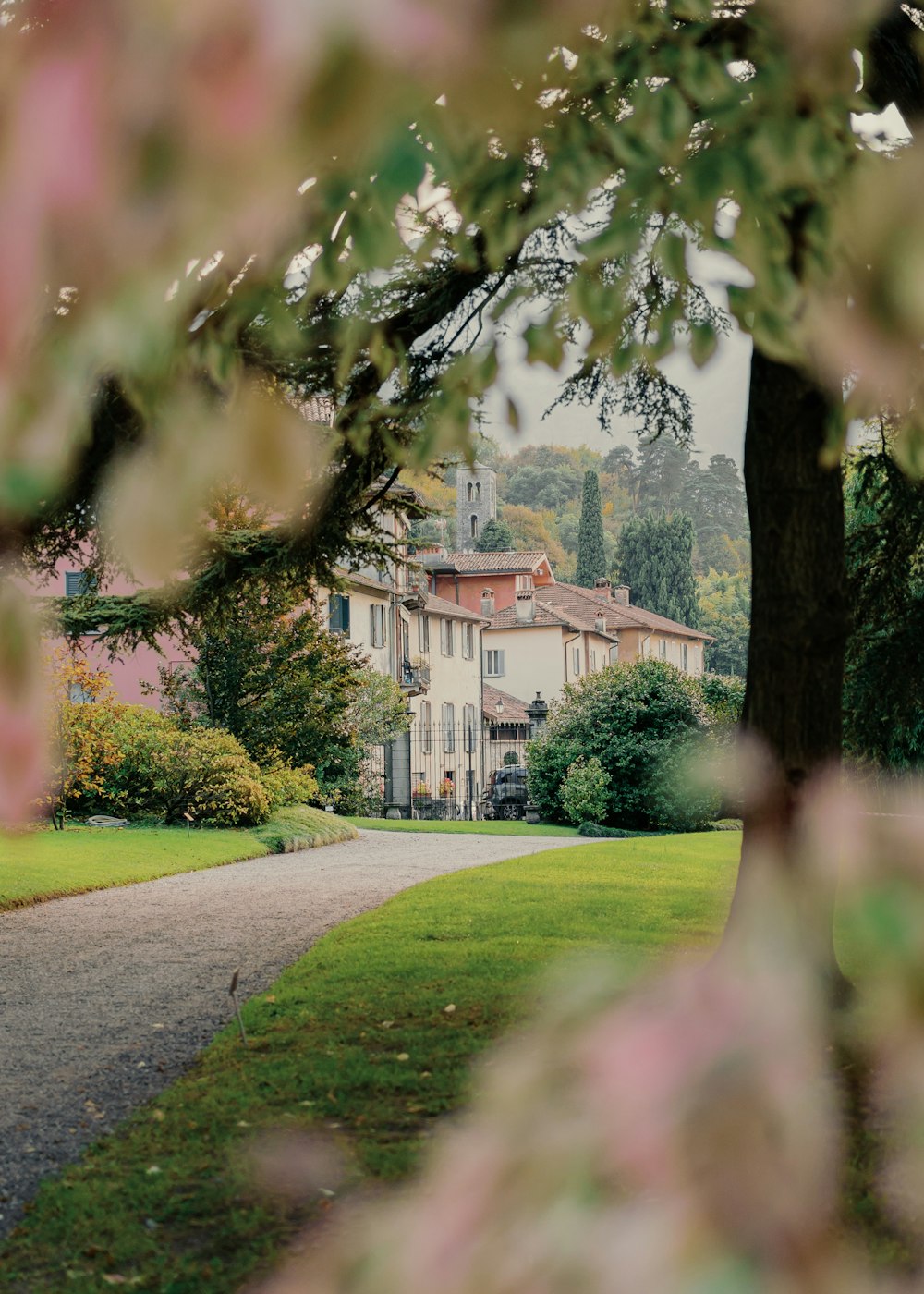 a house is seen through the trees in the distance