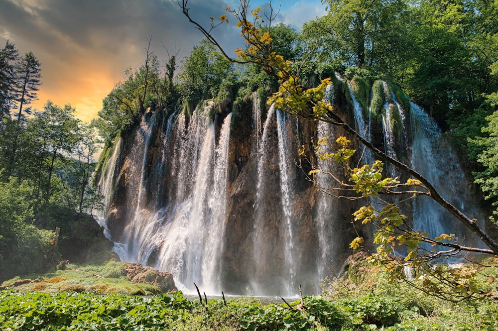 a large waterfall in the middle of a forest