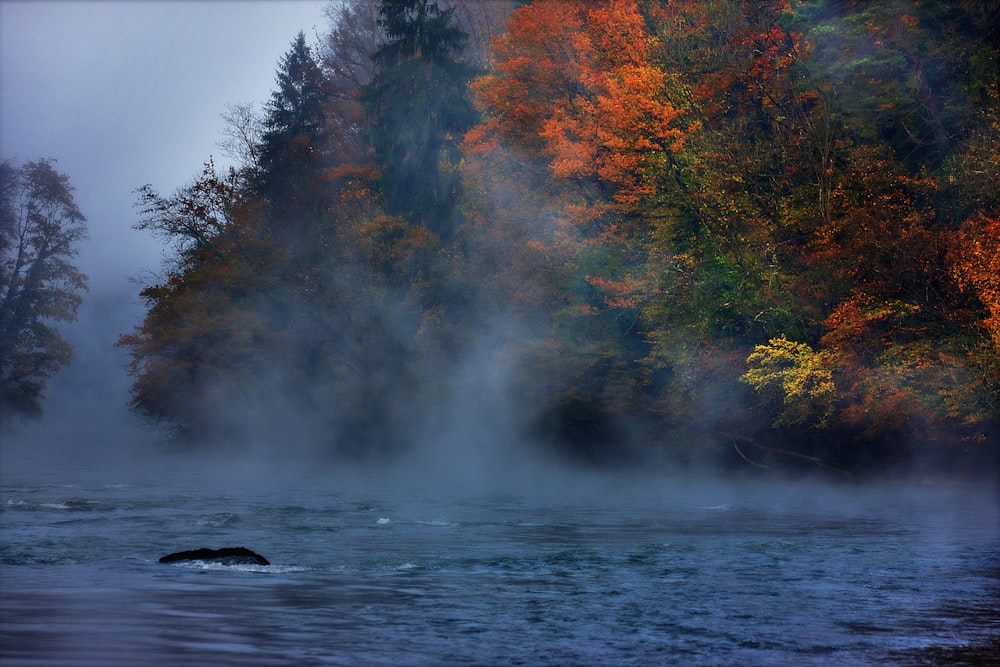 a body of water with trees in the background