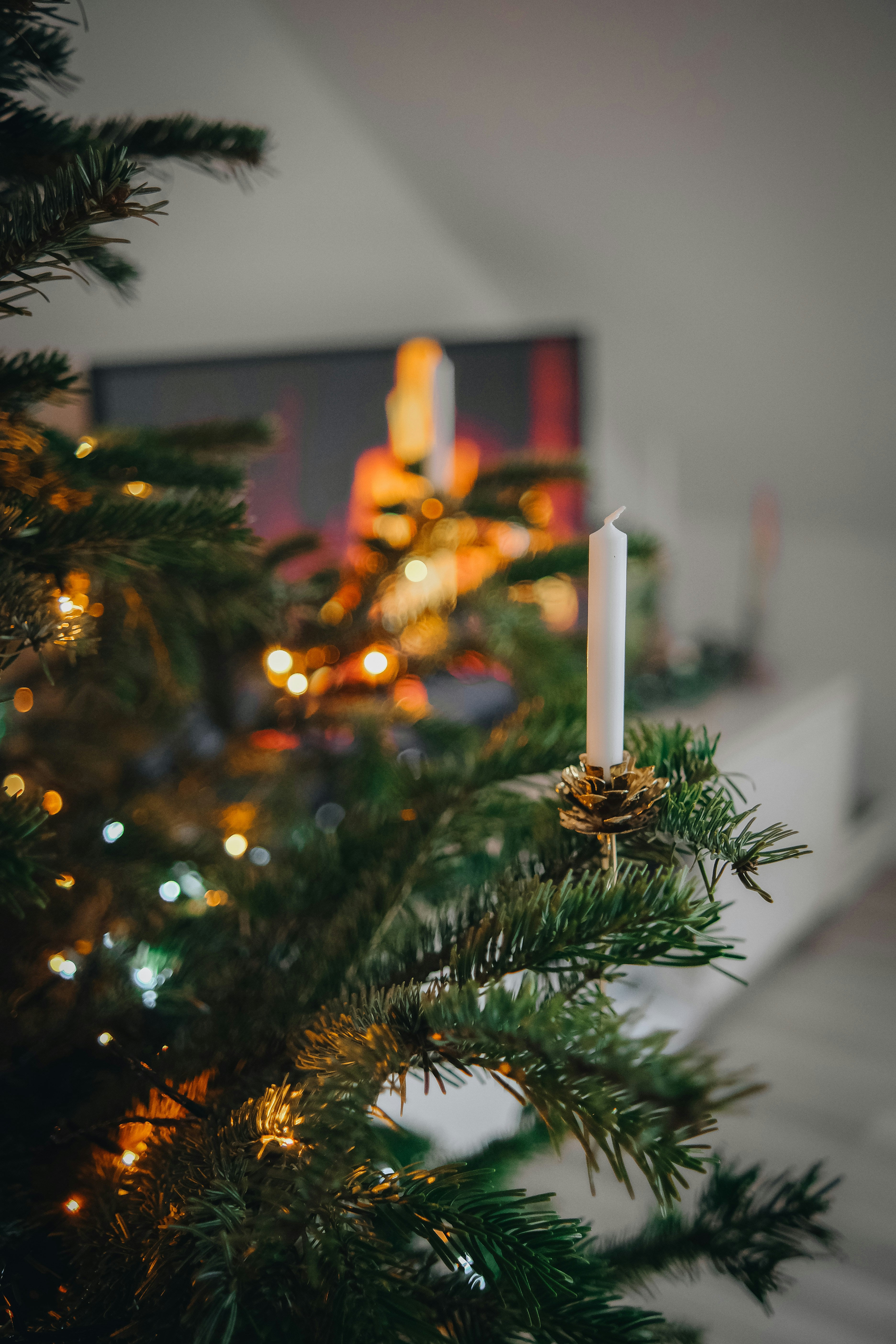 Photo by juliablumberg