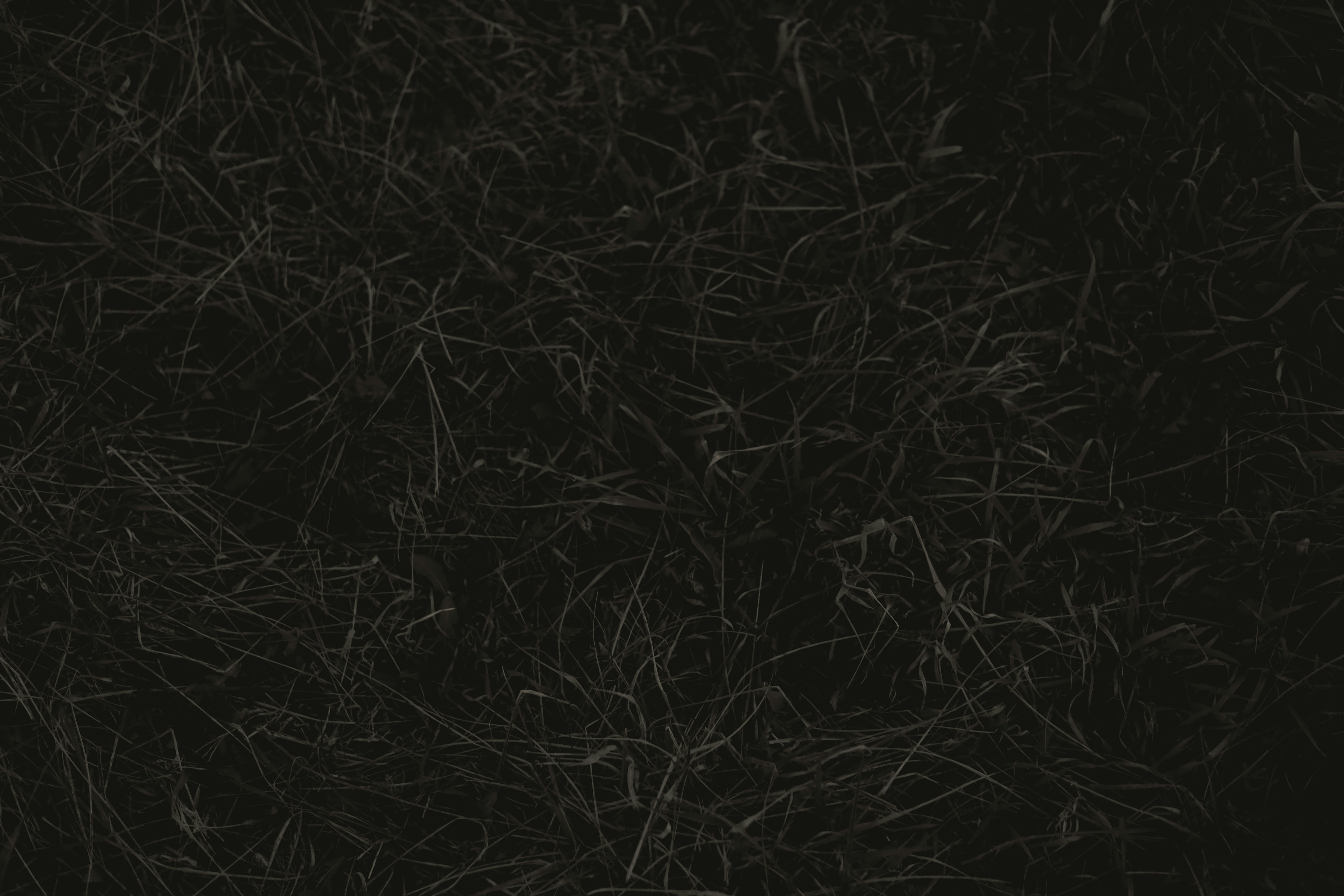 네이버블로그문제점