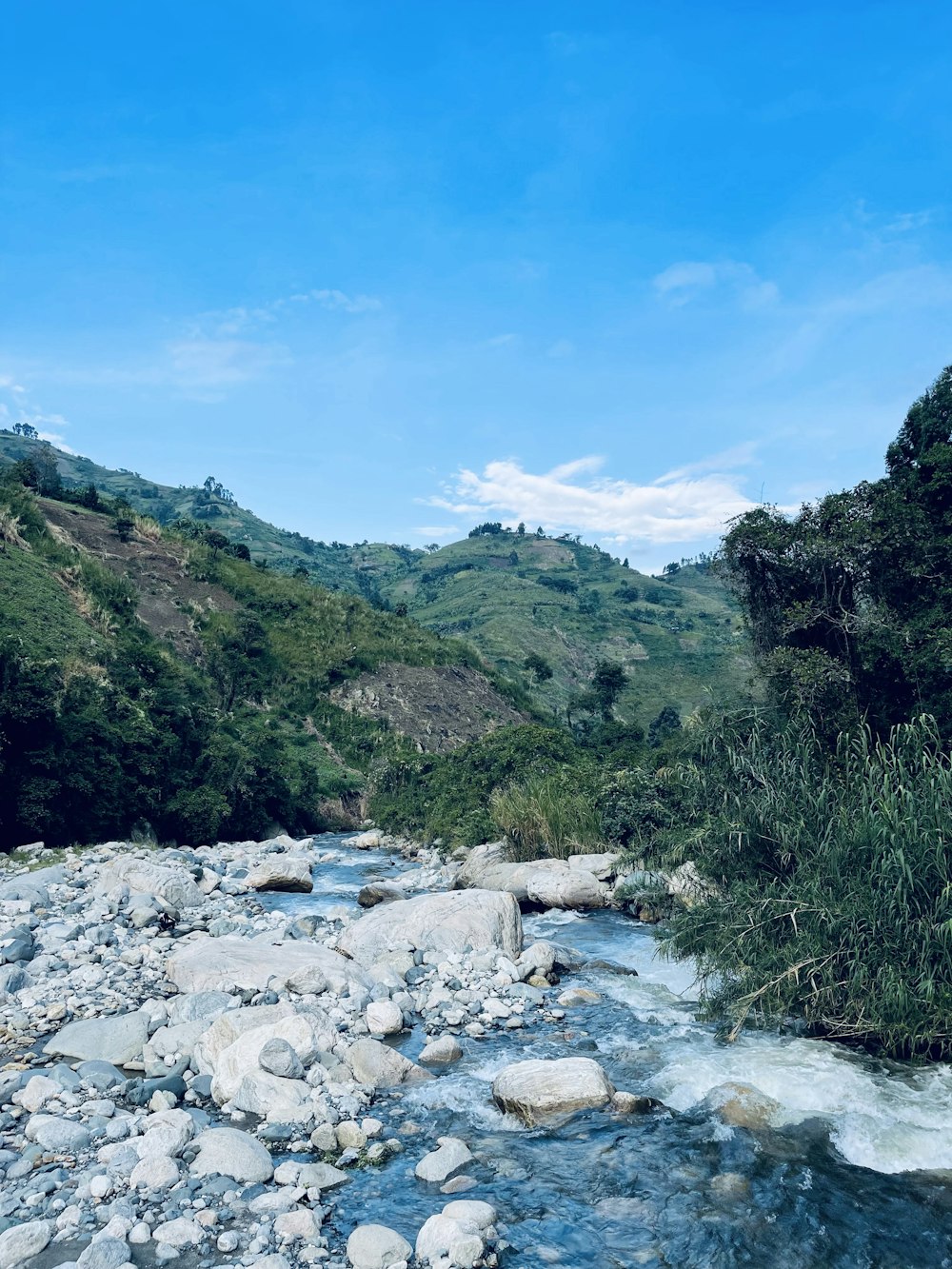 a river running through a lush green hillside