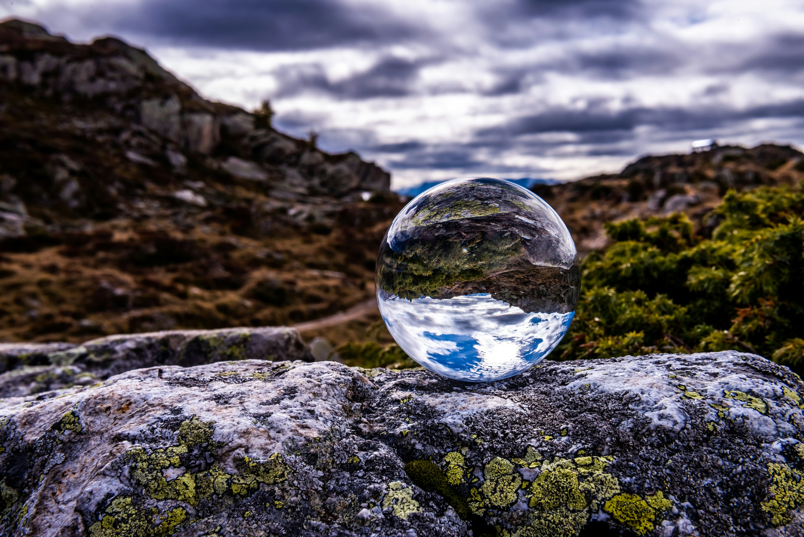 Photo by rogertomaschett