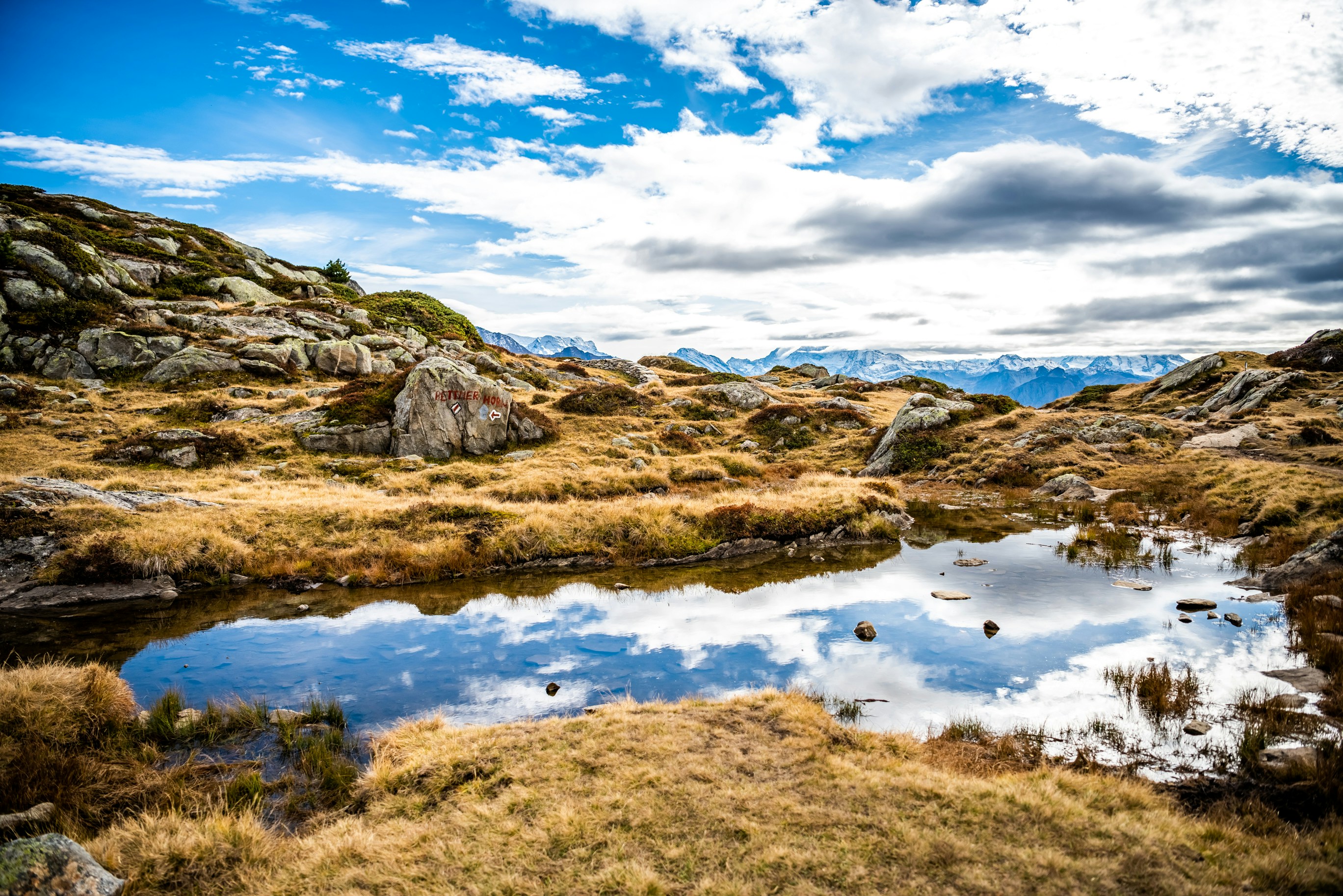 Photo by rogertomaschett