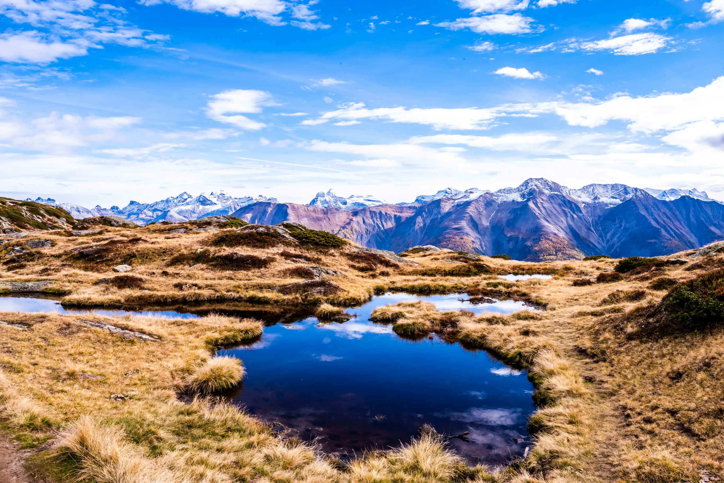 Photo by rogertomaschett