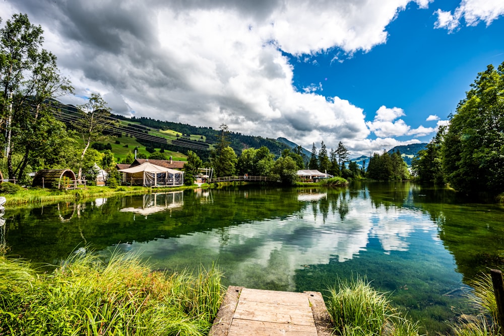 a body of water surrounded by lush green trees