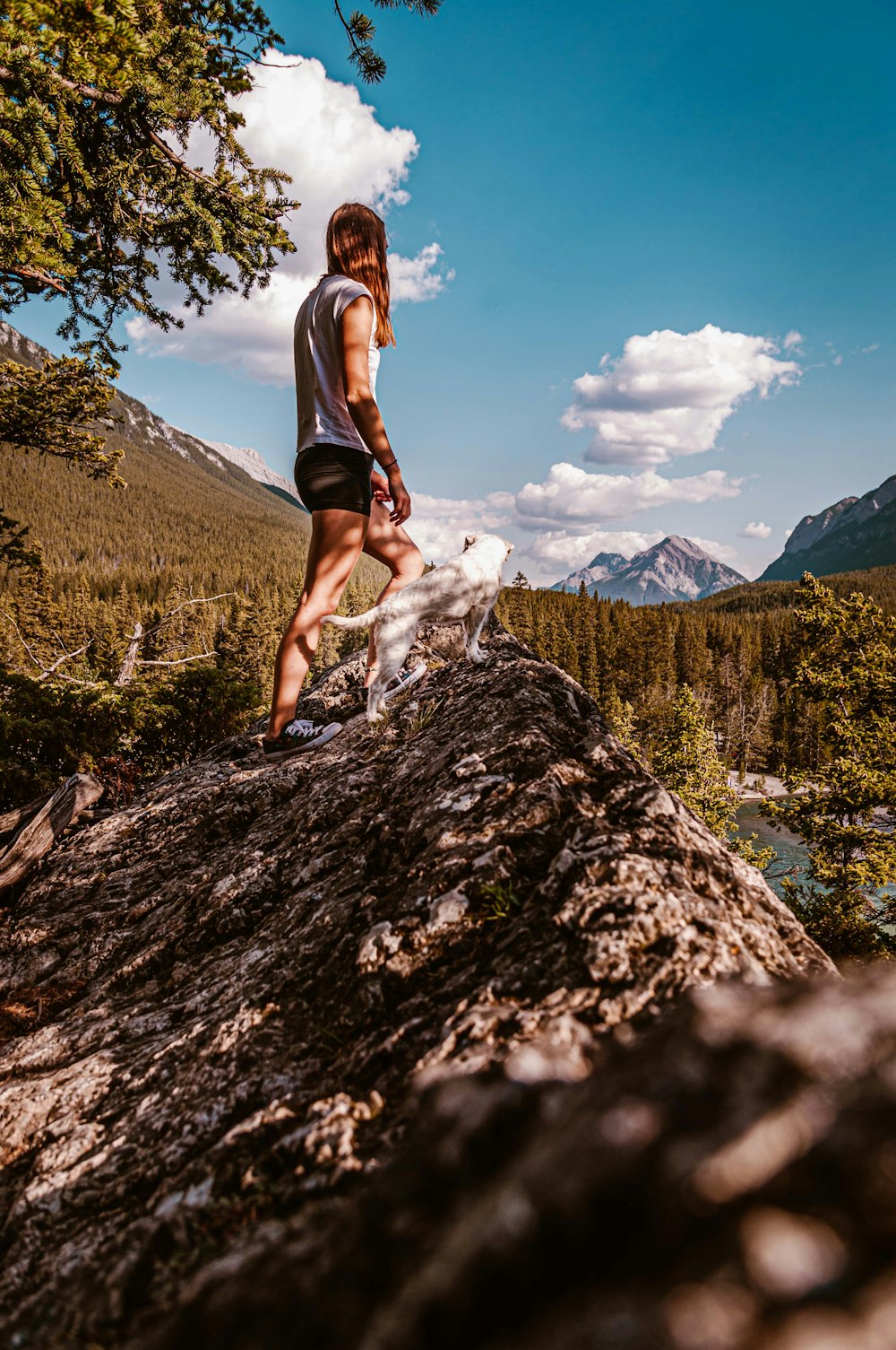 a man standing on top of a rock next to a forest