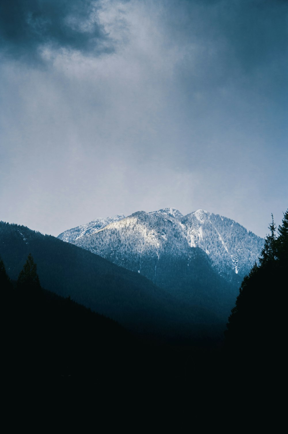 a view of a mountain range with trees in the foreground