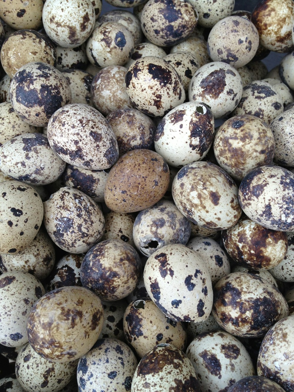 a pile of brown and white speckled eggs