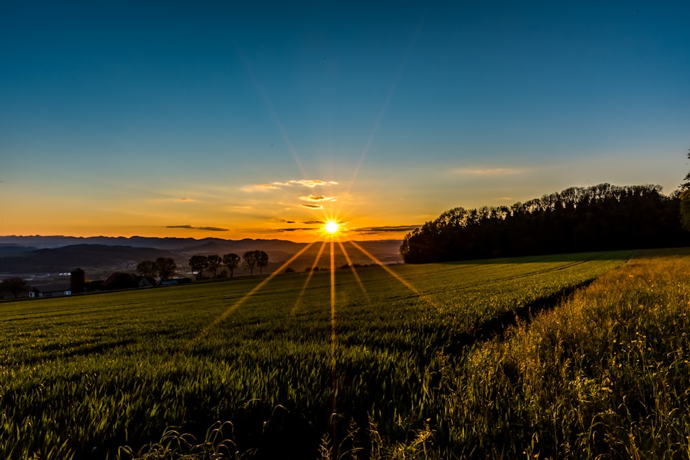 the sun is setting over a field of grass