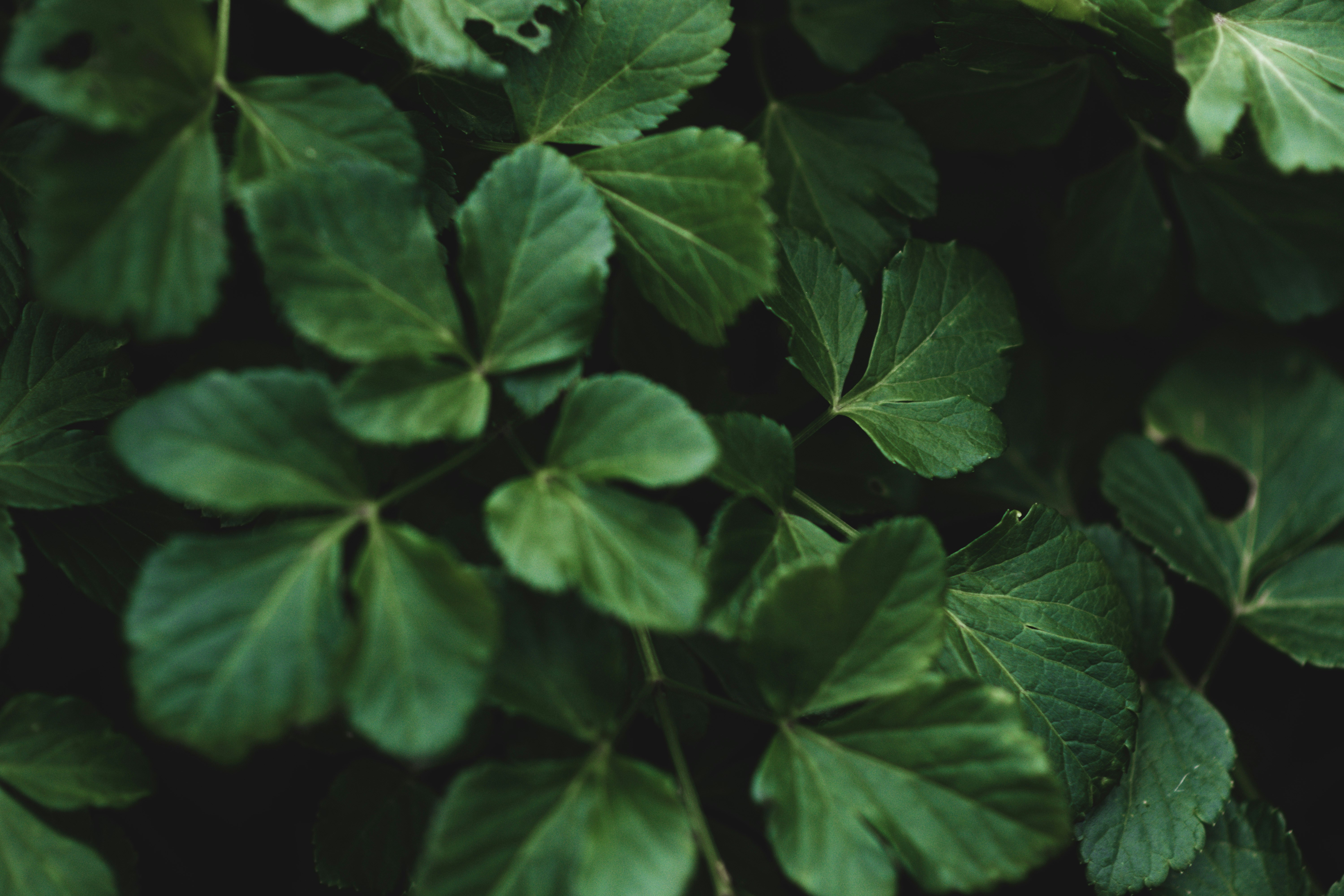 Photo by elliottmason