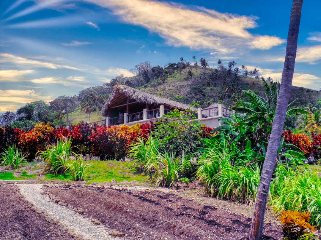 a lush green hillside with a house on top of it, Dominican Republic, Porta Cana Restaurant.