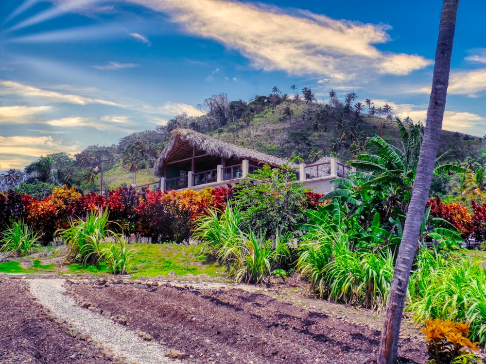 a lush green hillside with a house on top of it