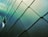 A wall covered with textured, overlapping metal panels in a teal hue, featuring a small rectangular window. The panels are arranged in a diagonal pattern, creating a sense of depth and modernity.