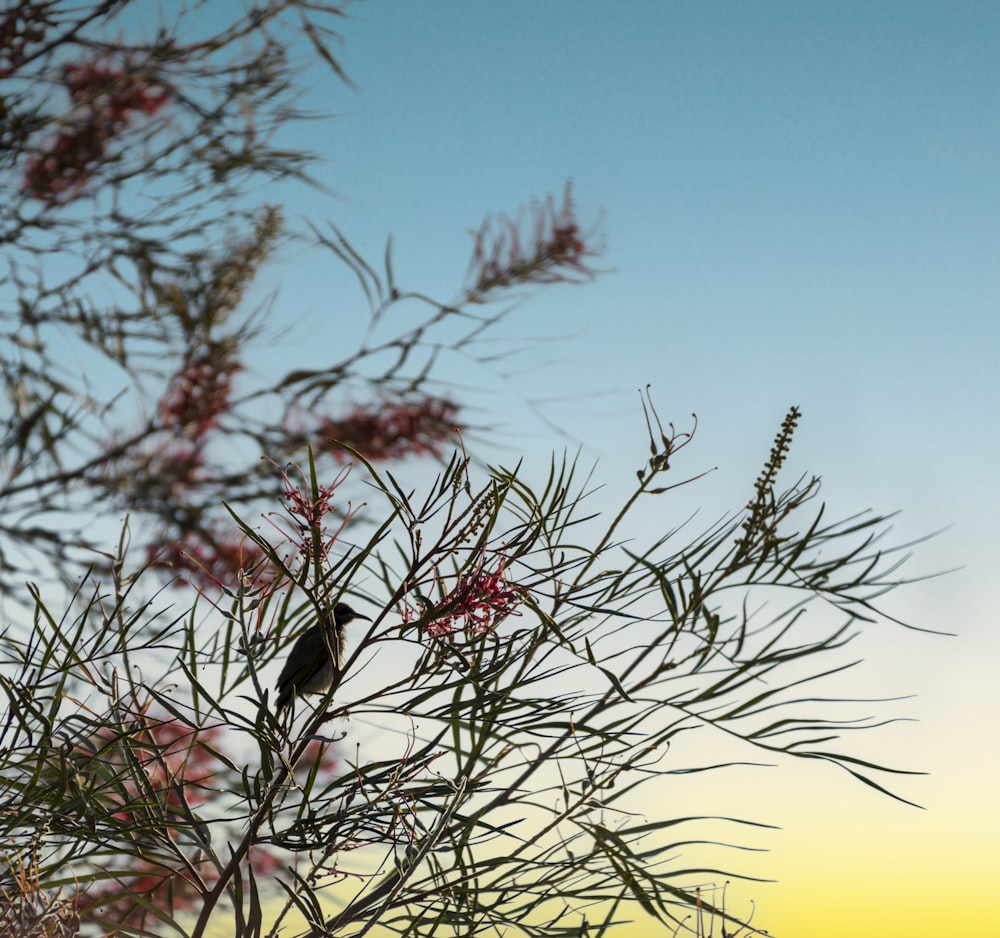 a small bird perched on top of a tree branch