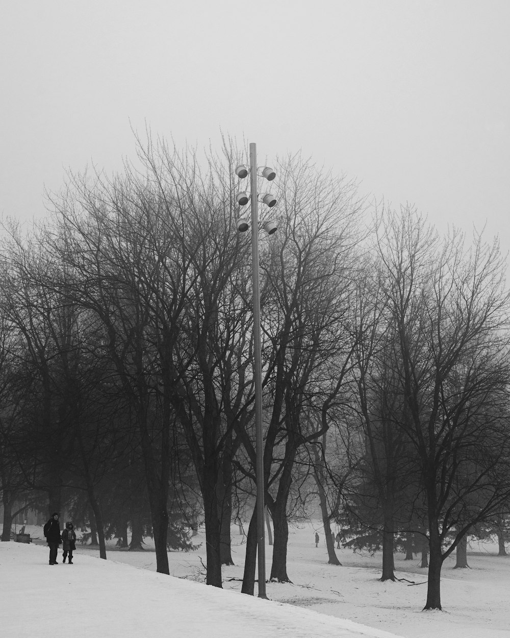 a black and white photo of people walking in the snow