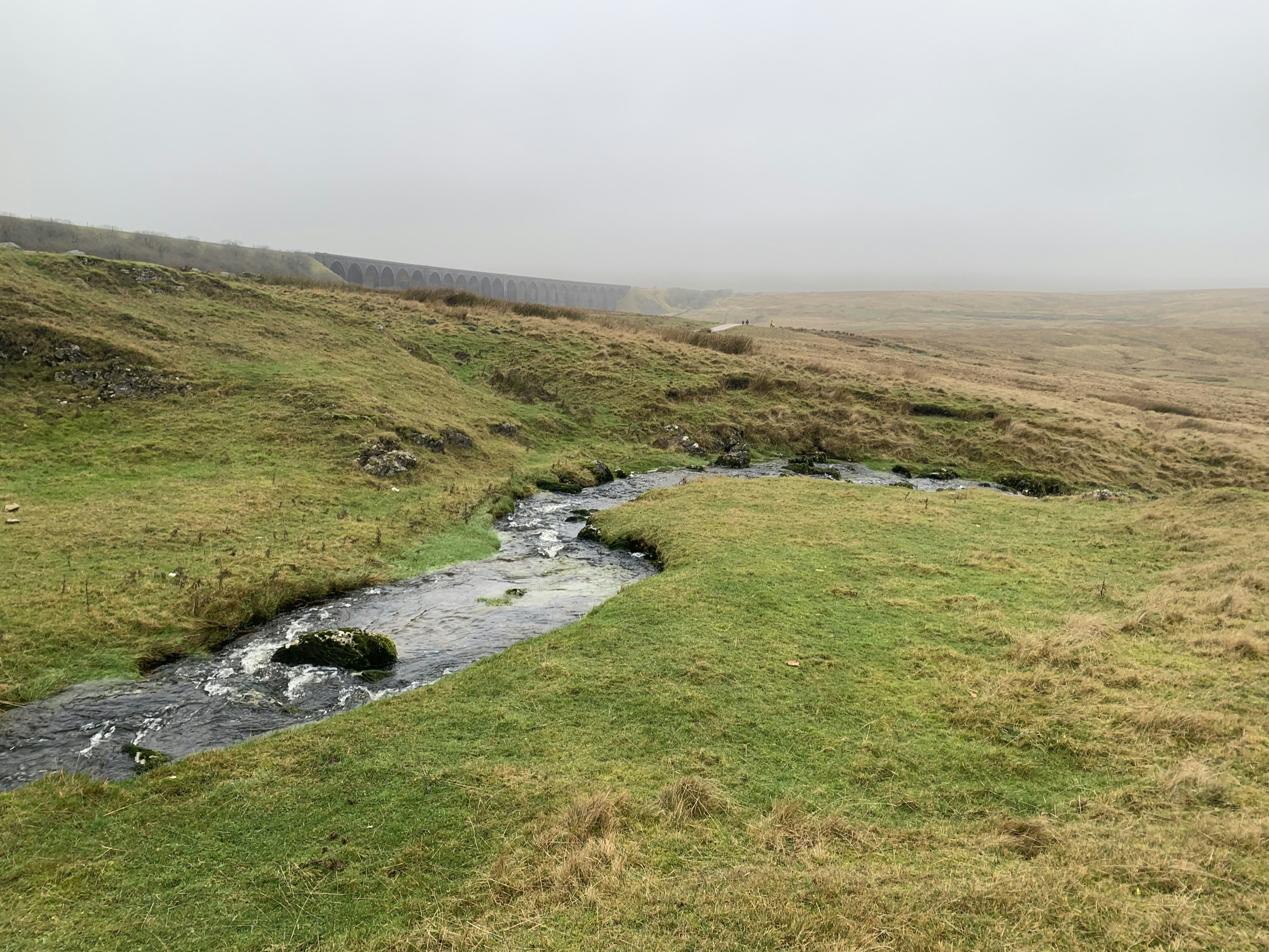 Photo by hcolquhoun17