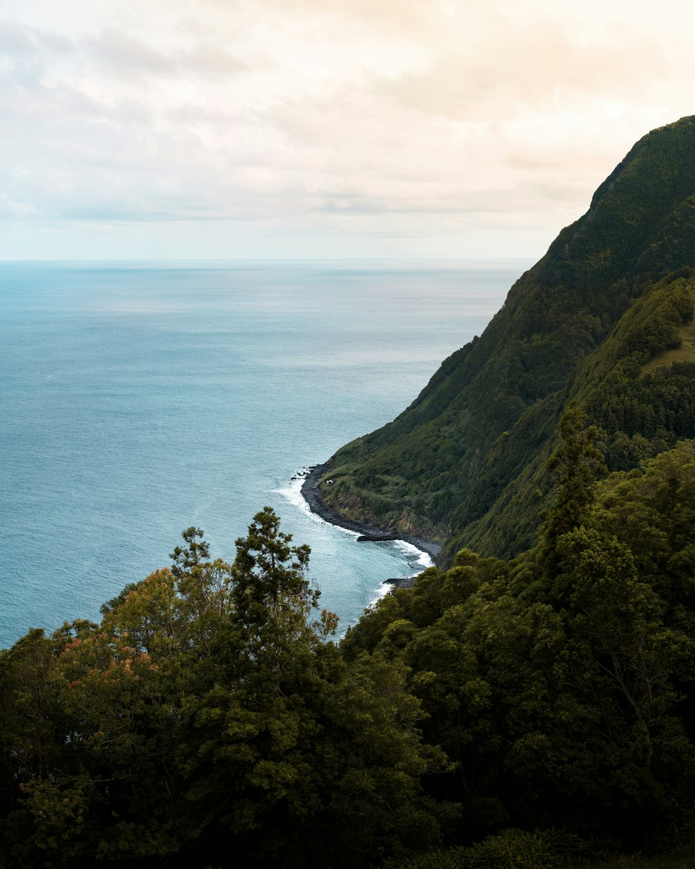 a scenic view of the ocean from a hill