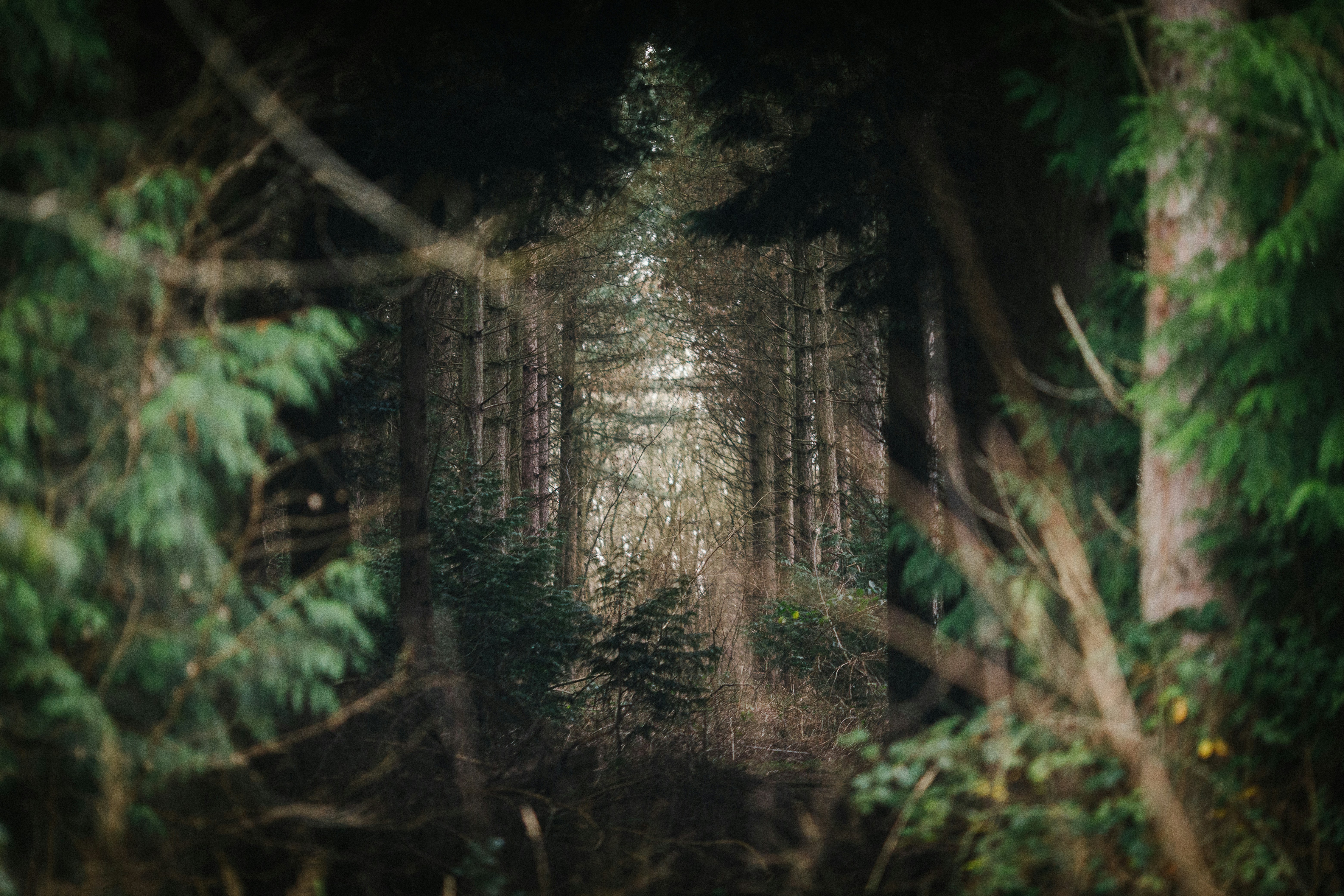 Photo by jamietakesphotos