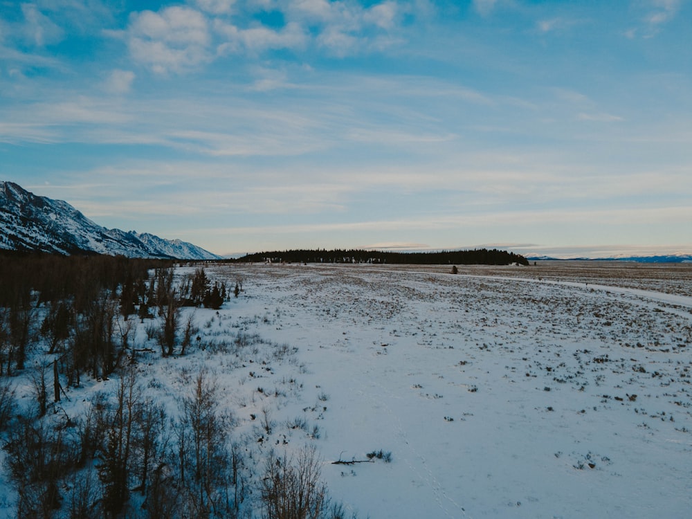 山々を背景に雪に覆われた野原