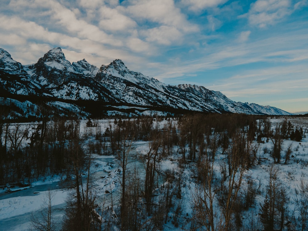 a snowy landscape with mountains in the background