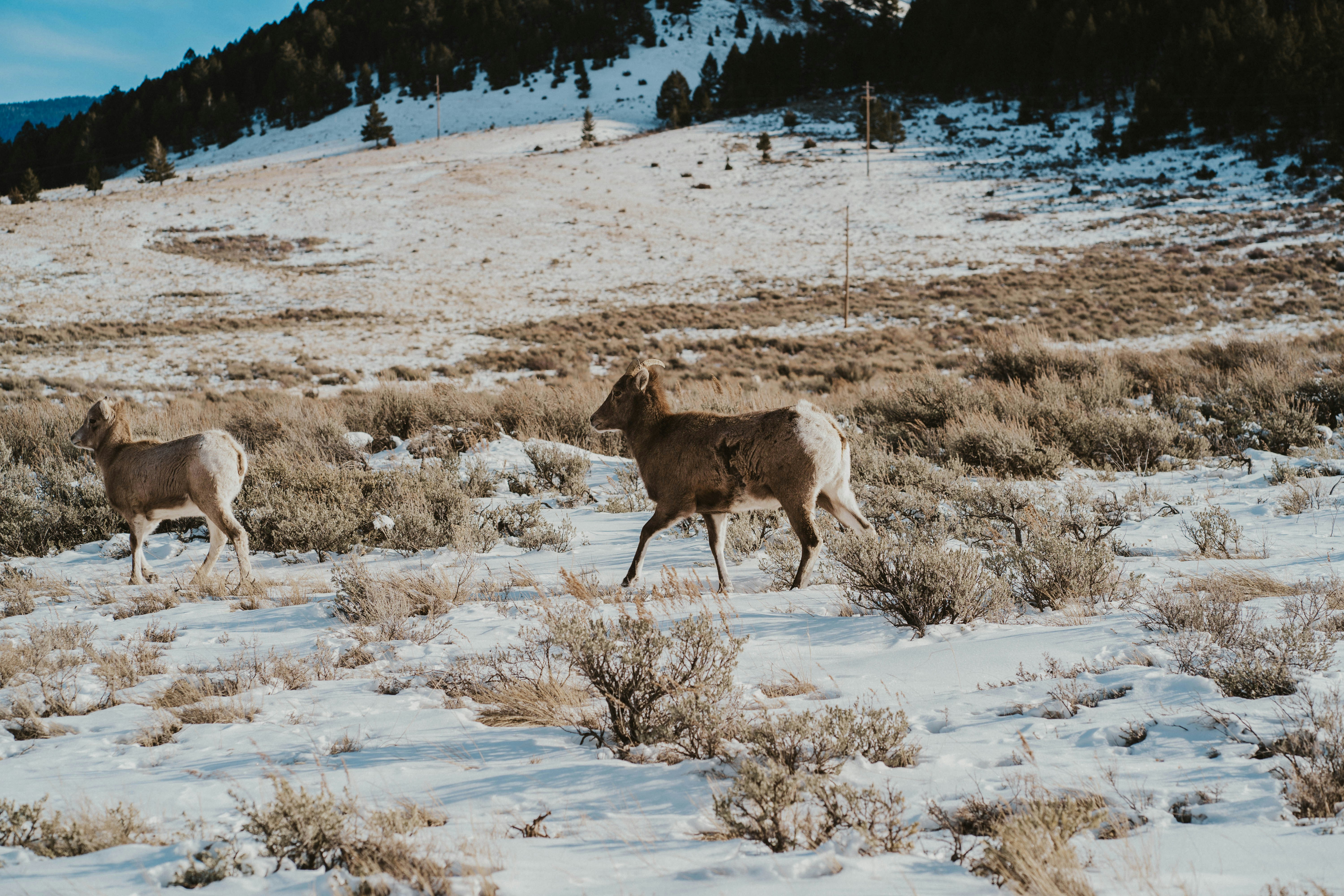 Photo by nevelsmedia