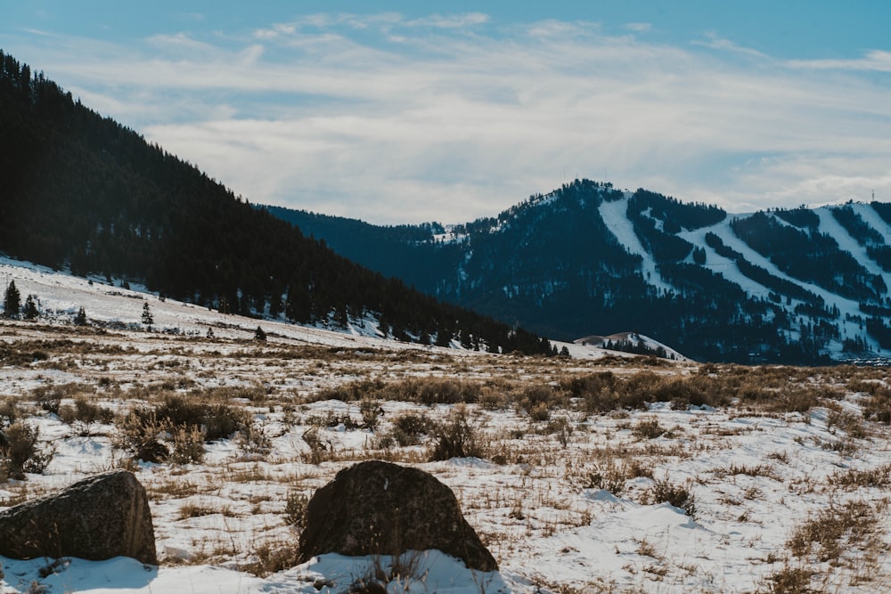 a snow covered field with mountains in the background