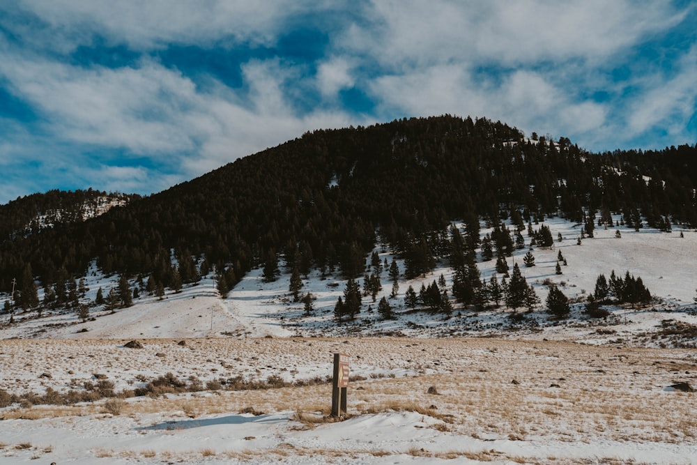 a snow covered mountain with a fence in the foreground